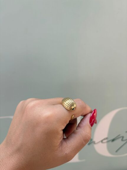 ANILLO CARACOLA
