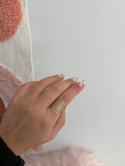 ANILLO MÚLTIPLE APERTURA DELANTERA